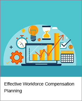 Effective Workforce Compensation Planning