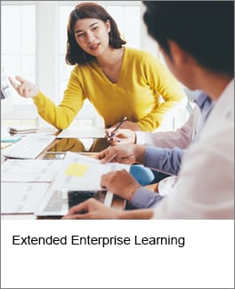 Extended Enterprise Learning