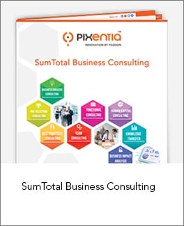 SumTotal-Business-Consulting.jpg