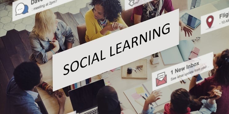 How to Measure the Impact of Social Learning